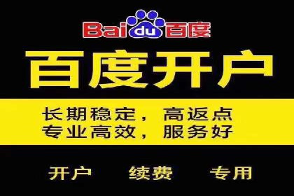 深度解读：百度推广运营的五大成功案例